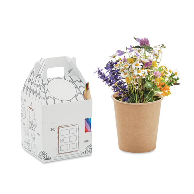 Grow kit for children - Image 4
